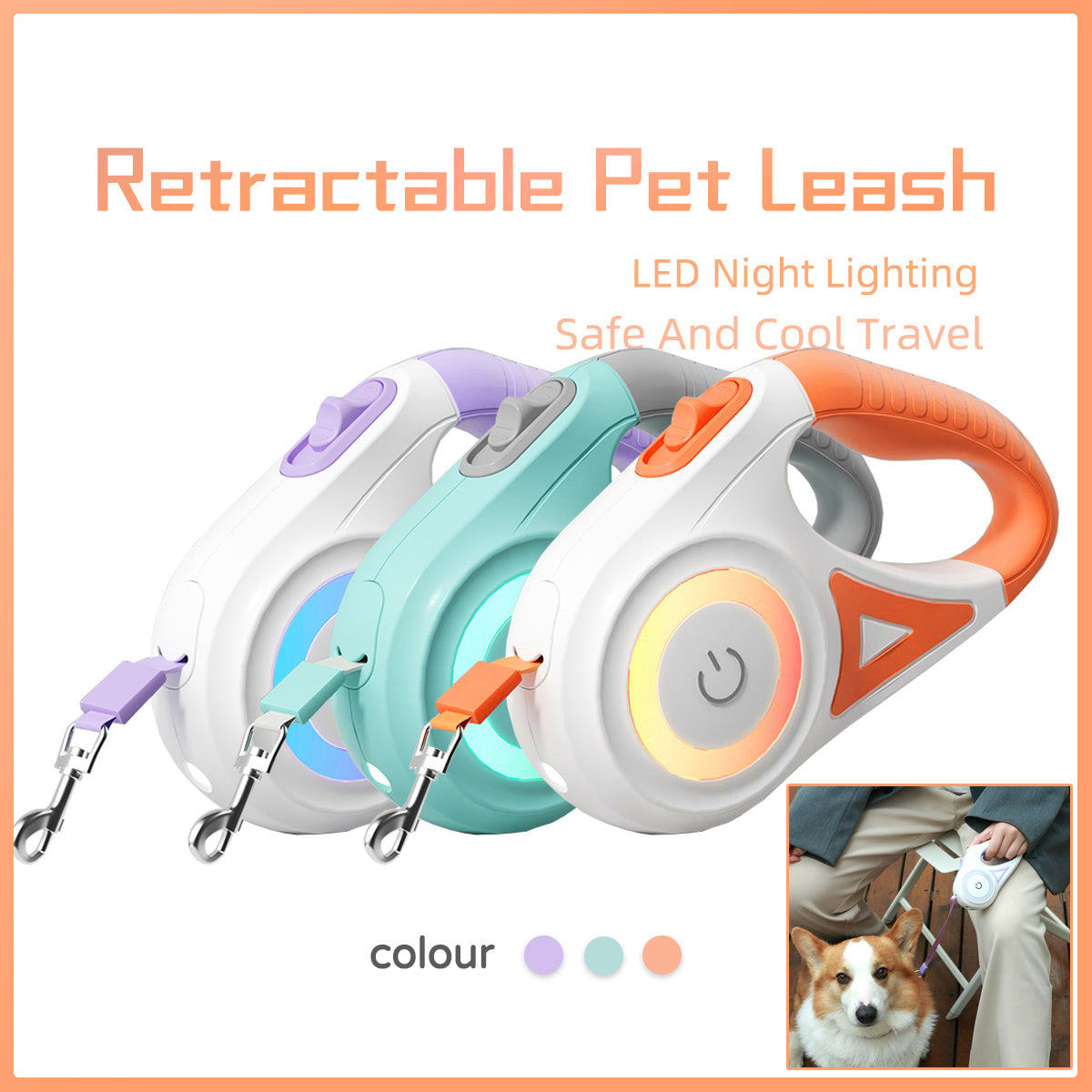LED Dog Leash